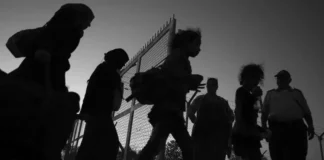 সাইপ্রাস আশ্রয়ের আবেদনে তীব্র হ্রাস দেখেছে, হ্রাসের জন্য ইইউতে ৮তম স্থানে রয়েছে