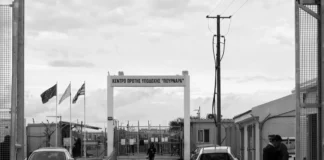 ২০২২ সাল থেকে ৩০০০ এরও বেশি অভিবাসী সাইপ্রাস থেকে ইইউতে স্থানান্তরিত হয়েছে