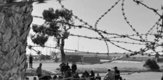 ২০২৫ সালে সাইপ্রাসে ১০,০০০-এরও বেশি অনিয়মিত অভিবাসী প্রত্যাবর্তন সম্পন্ন — উপমন্ত্রীর ঘোষণা