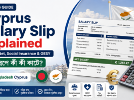 Cyprus salary slip explained with gross net salary Social Insurance and GESY